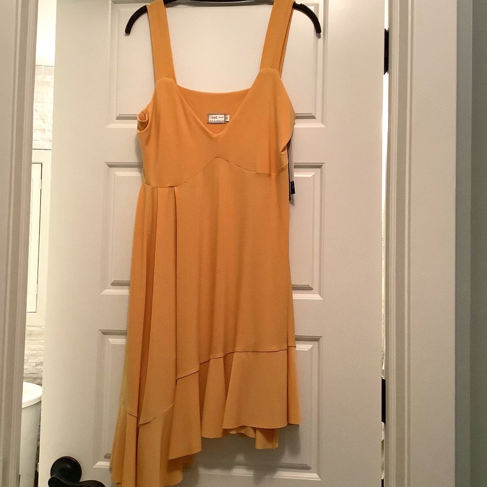Dress NWT